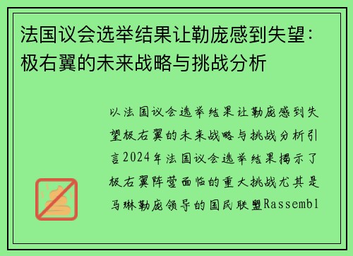 法国议会选举结果让勒庞感到失望：极右翼的未来战略与挑战分析